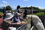 初夏のお出かけ🐮
