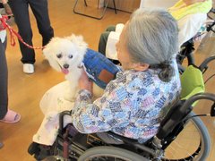 🐶癒しの時間～ドッグセラピー～🐶