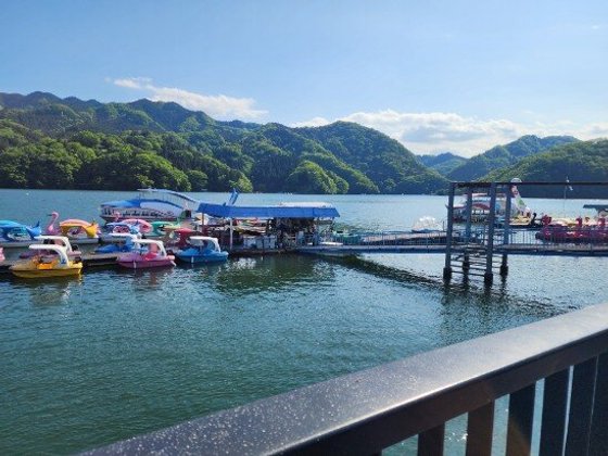 ふれあいの杜さがみ湖