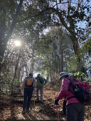 ふれあいの杜さがみ湖