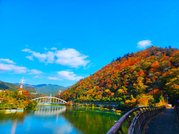 ふれあいの杜さがみ湖