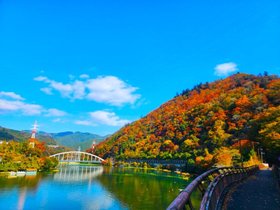 ふれあいの杜さがみ湖