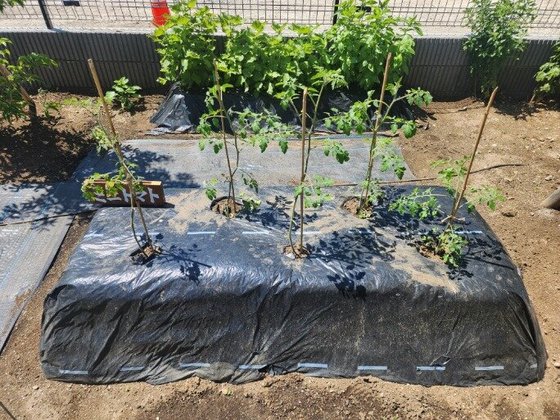 ふれあいの杜さがみ湖