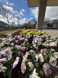自慢の花壇です!ふれあい自然塾