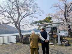 お花見 inさがみ湖