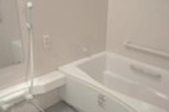 たんぽぽ四季の森