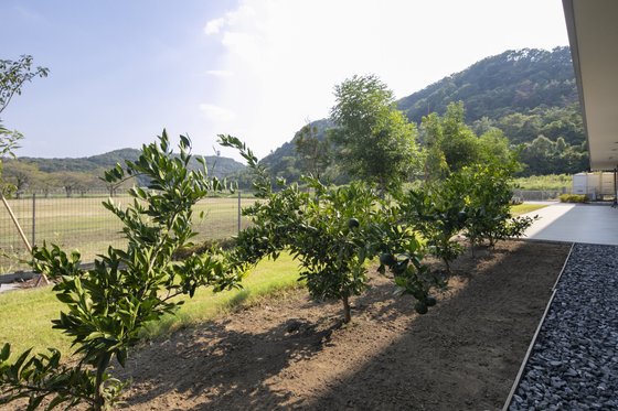 特別養護老人ホームよりい