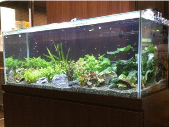 グランメゾン迎賓館 豊中浜