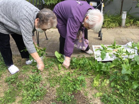 グランメゾン迎賓館京都桂川