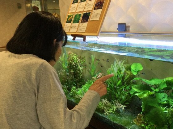 グランメゾン迎賓館京都嵐山Ⅱ