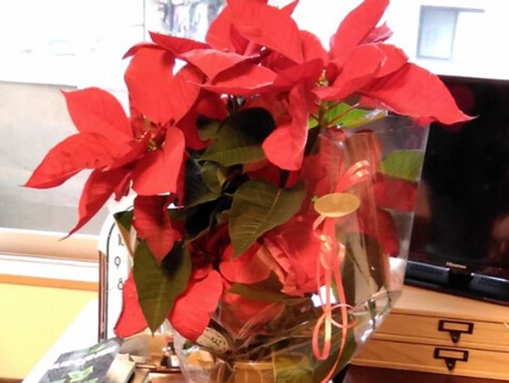 グランメゾン迎賓館京都鳴滝