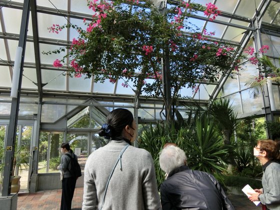 フロイデンハイム