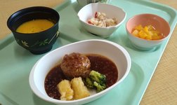 普段のお食事の一例