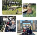 動物園へ🦒