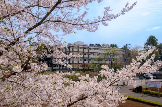特別養護老人ホームしらさぎ