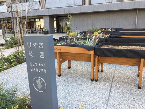 デュオセーヌ国立