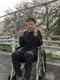 【2026年4月6日】春のひととき 〜満開の桜を眺めて〜