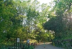 明徳公園、広く静かな散歩コースです(徒歩15分)