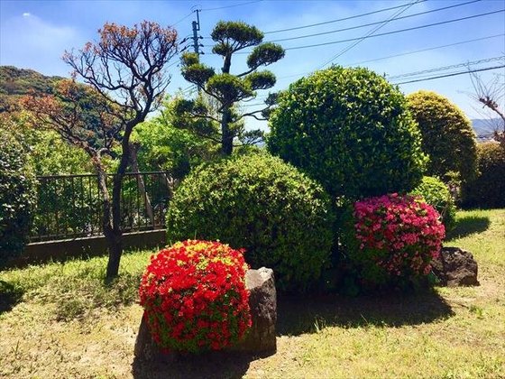 いこいの家きよみず