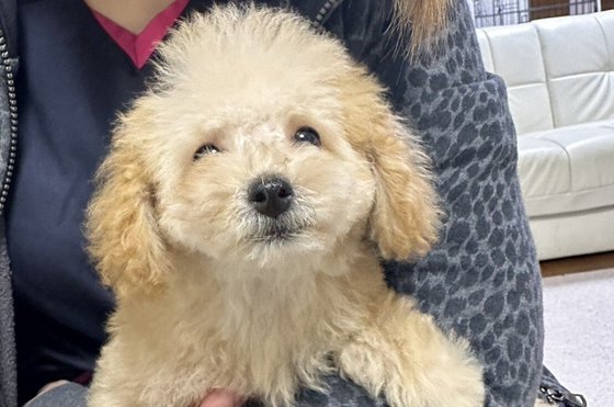 メディケア縁 ALOHA