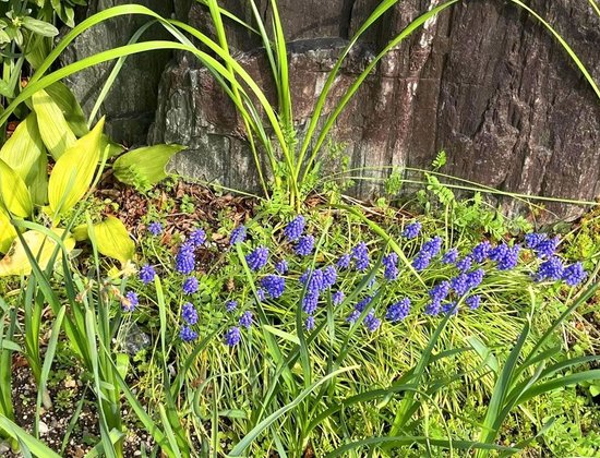 グループホームまごころ