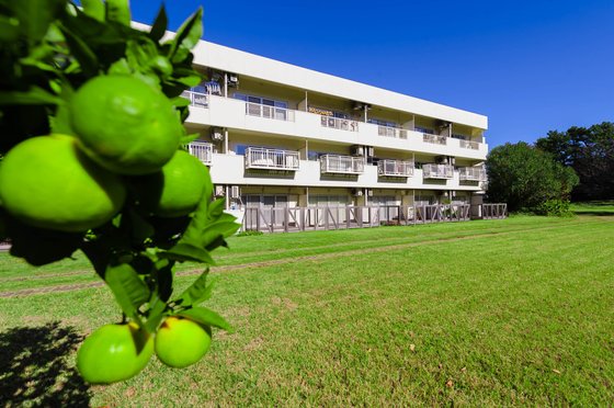 茅ヶ崎 太陽の郷