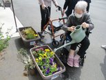🌸花のお世話