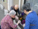 花植え🌸