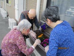 花植え🌸
