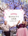 桜の木の下で、春を感じるひととき🌸