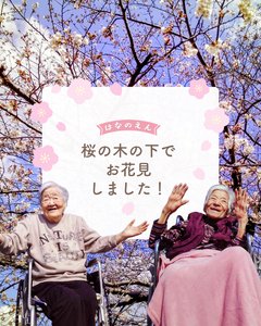 桜の木の下で、春を感じるひととき🌸