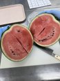 おやつの日 スイカ🍉