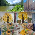 🌻ヴェラス月寒公園の「ケアスタッフの想いが咲くひまわり畑」🌻
