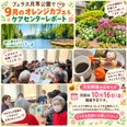 ☕🌸 ヴェラス月寒公園で9月のオレンジカフェ🌸☕