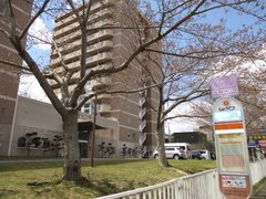 「ヴェラス藤野 桜開花状況と施設見学のお知らせ」