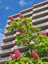 光ハイツ・ヴェラス琴似