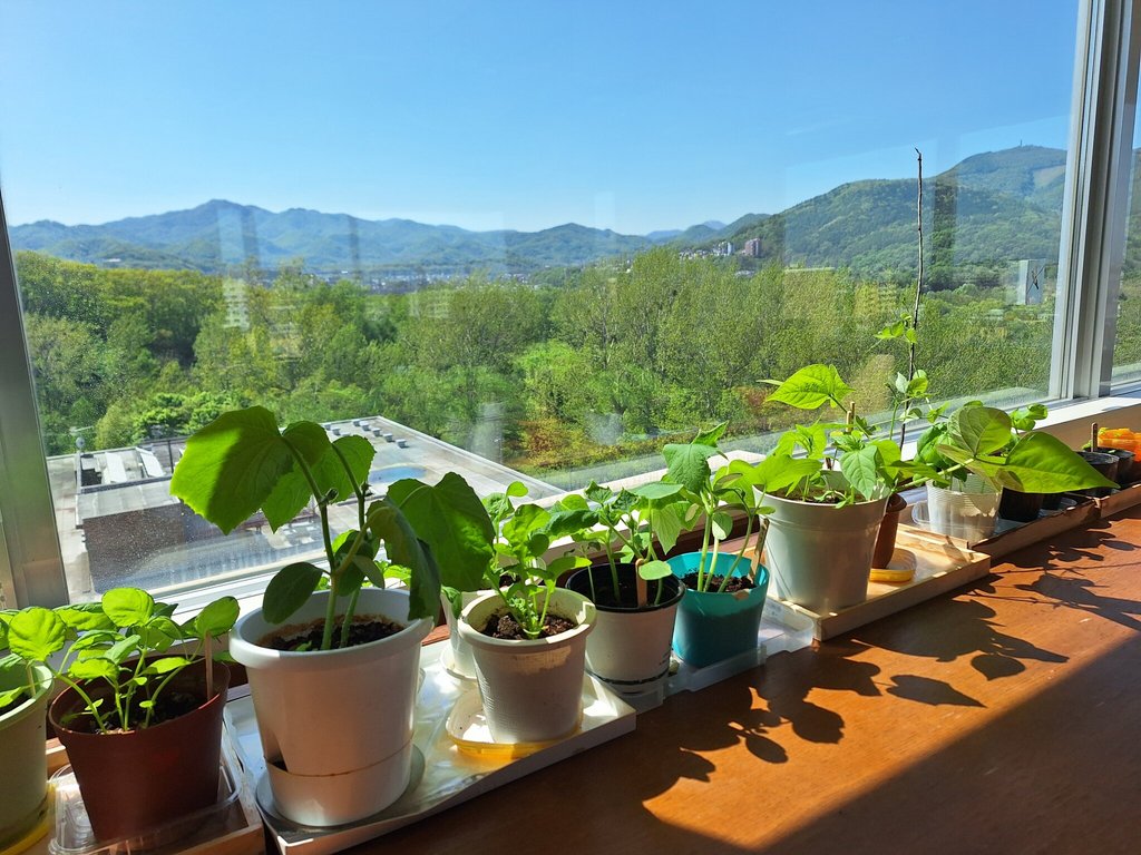 光ハイツ・ヴェラス真駒内公園
