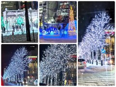 ◆ヴェラス真駒内公園イルミネーションツアー◆