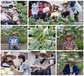◆クオーレ札幌北・北デイの花咲くガーデンと収穫◆