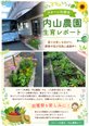 🌸クオーレ札幌北「内山農園」生育レポート🥬