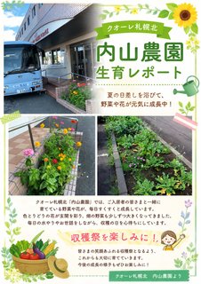 🌸クオーレ札幌北「内山農園」生育レポート🥬
