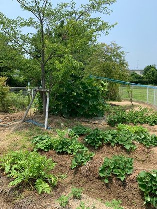 グループホームふるさと