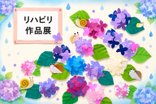 紫陽花とカタツムリ