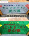 セントポーリア愛の郷は来年20周年を迎えます❣️