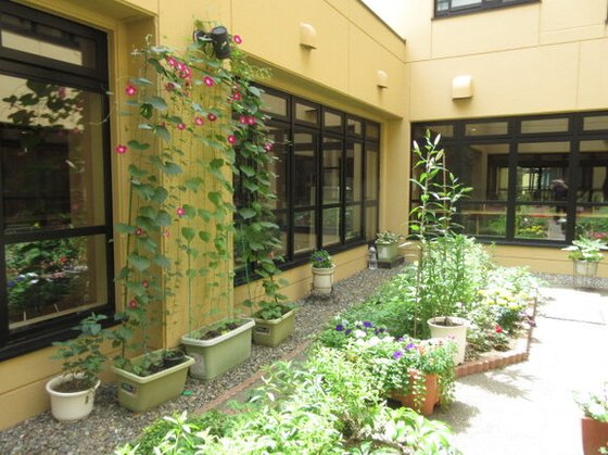 ゆうゆうじてき月寒公園