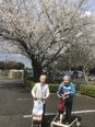 令和8年3月28日 【今年もきれいに咲きました】