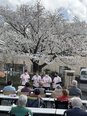 【令和8年4月6日】 お花見