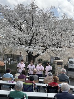 【令和8年4月6日】 お花見
