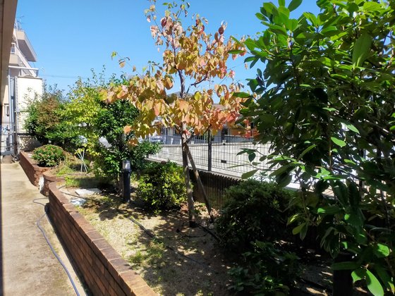 オリーブ柏原PLUS