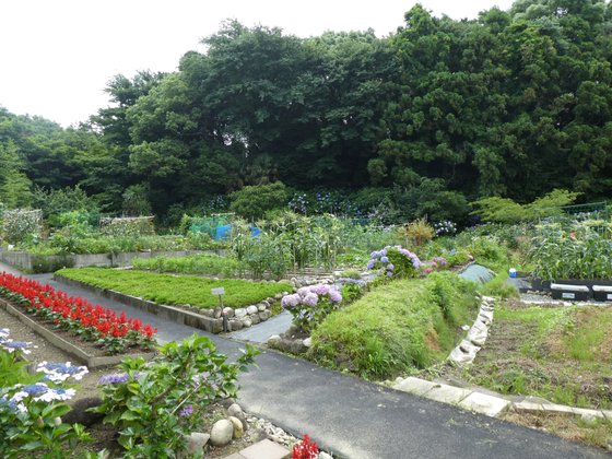 浜松ゆうゆうの里